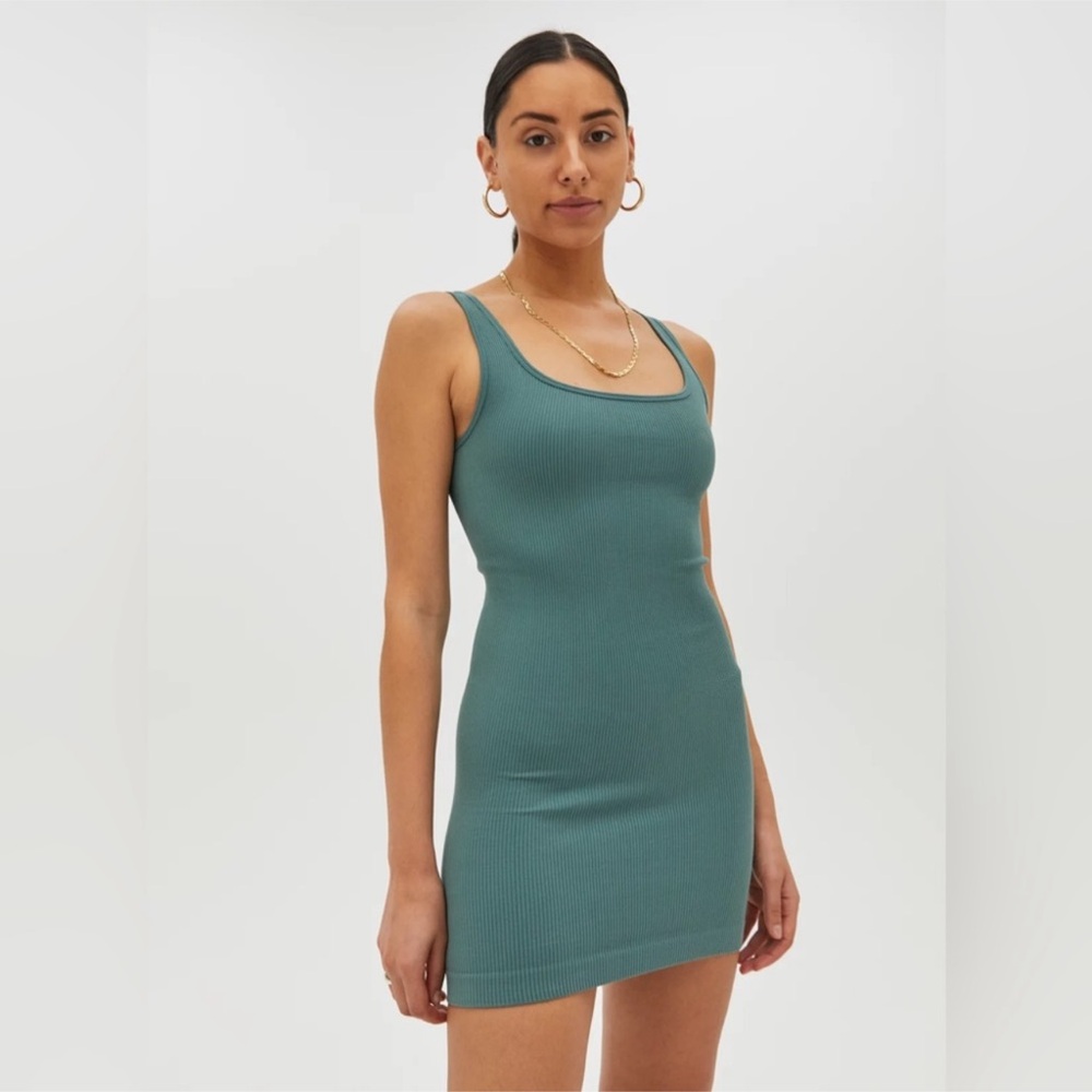 Aritzia TNA dress